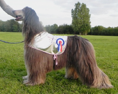 Soukistan - Champion de France PVL